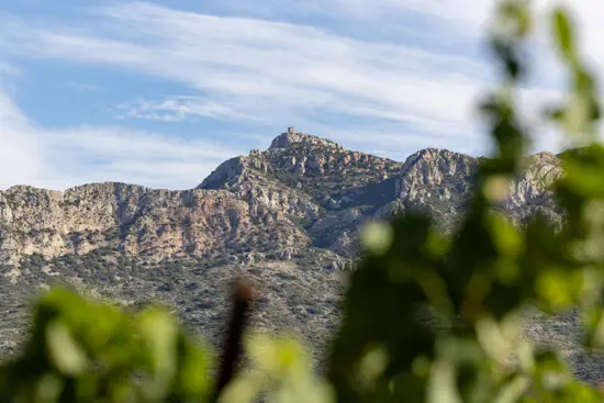 Domaine des Alpilles, photo 5