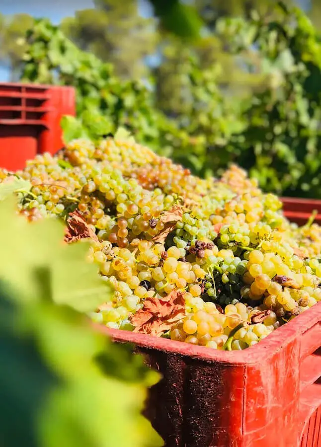 Domaine Beauchamp, photo 1