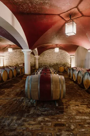 Domaine Mas de Rey, photo 2