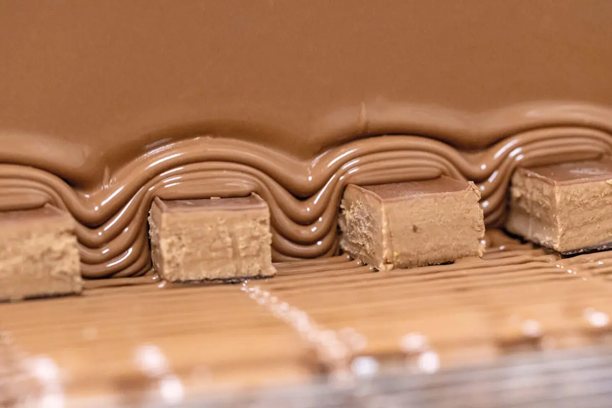 Rosa Chocolatier, photo 1