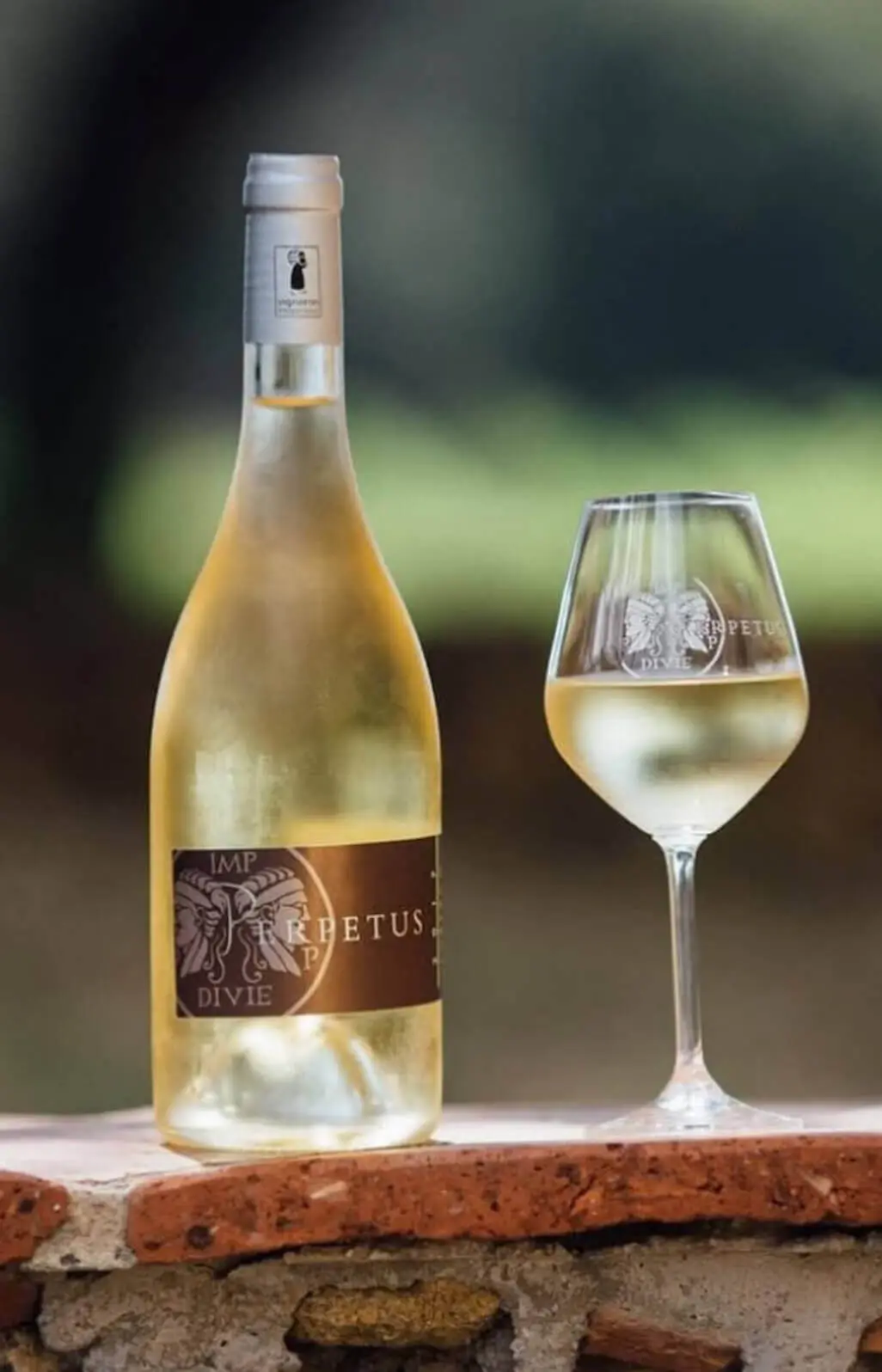 Domaine Les Perpétus, photo 1