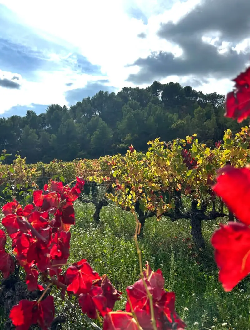 Domaine Les 2 Sources, photo 1