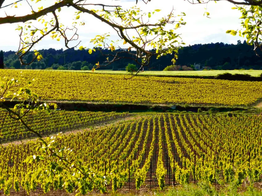 Domaine du Coffre, photo 1