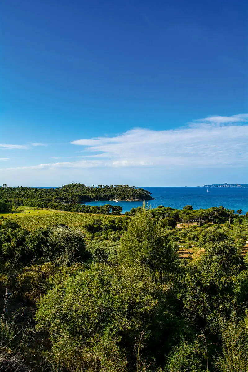 Château Léoube, photo 9
