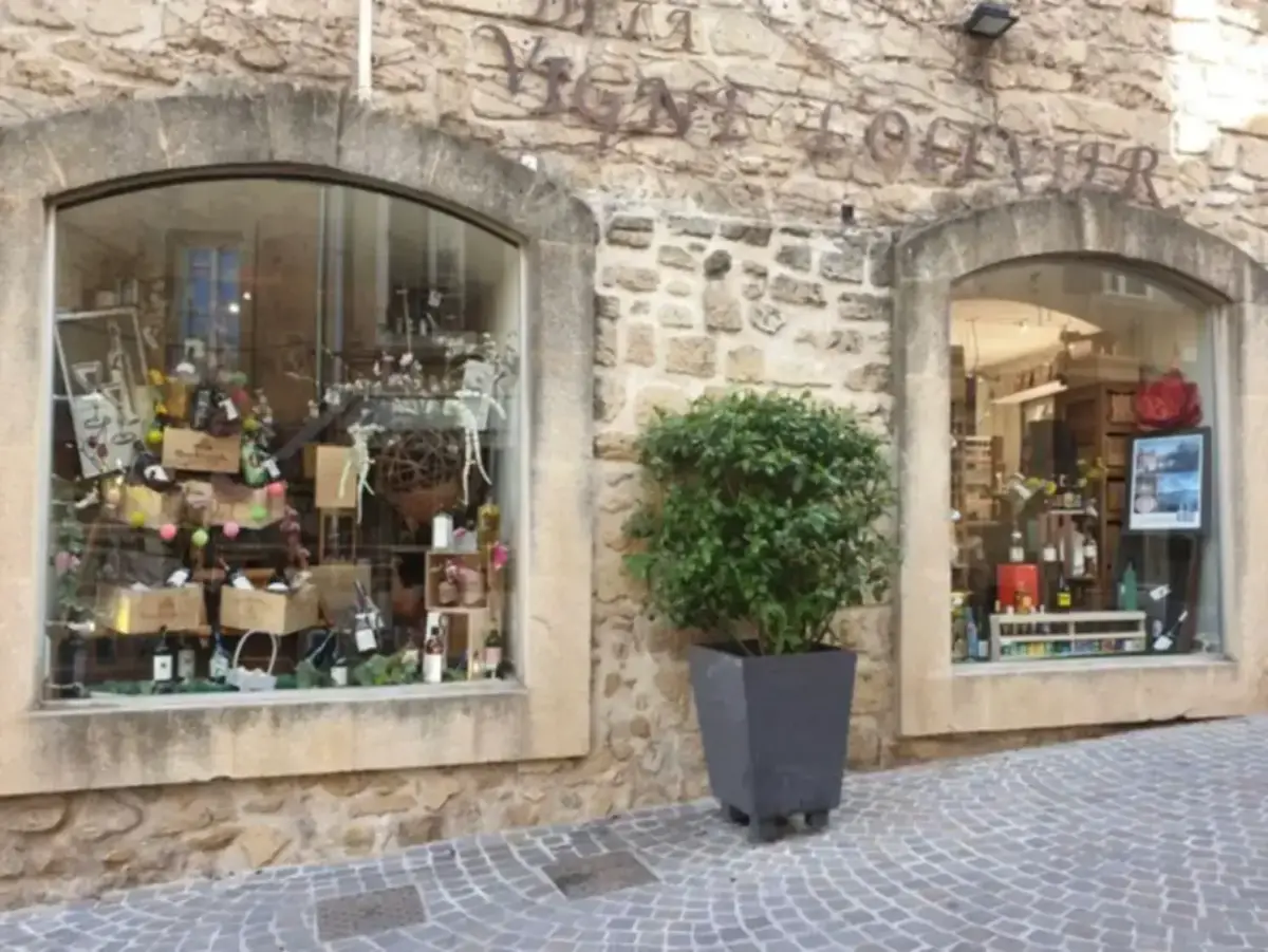 De La Vigne à L'Olivier, photo 1