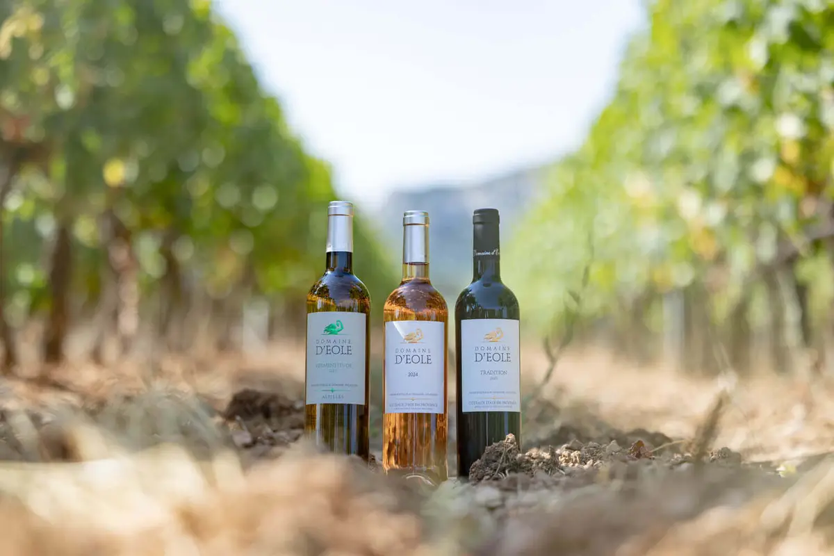 Domaine d'Eole, photo 2
