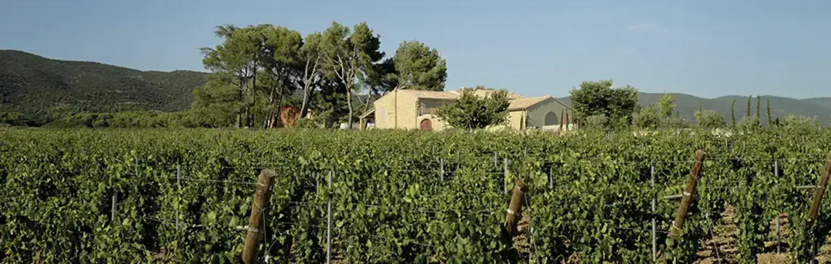 Domaine de MasLauris, photo 1