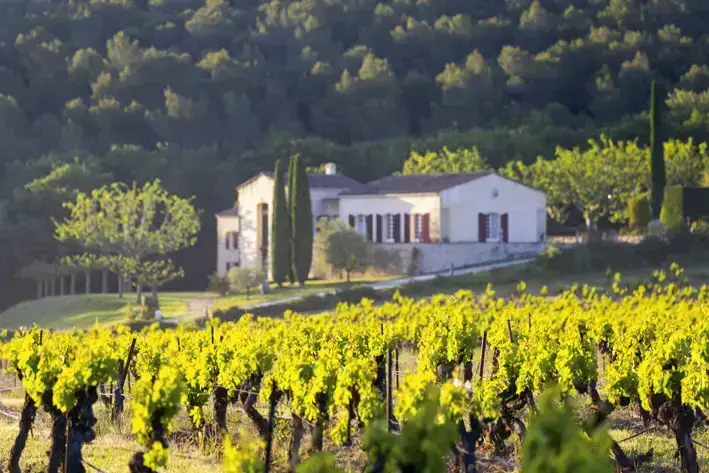 Domaine Tour Campanets, photo 1