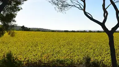 Domaine Villa Baulieu, photo 1