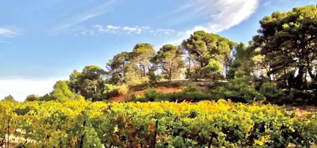 Domaine Val de Caire, photo 1