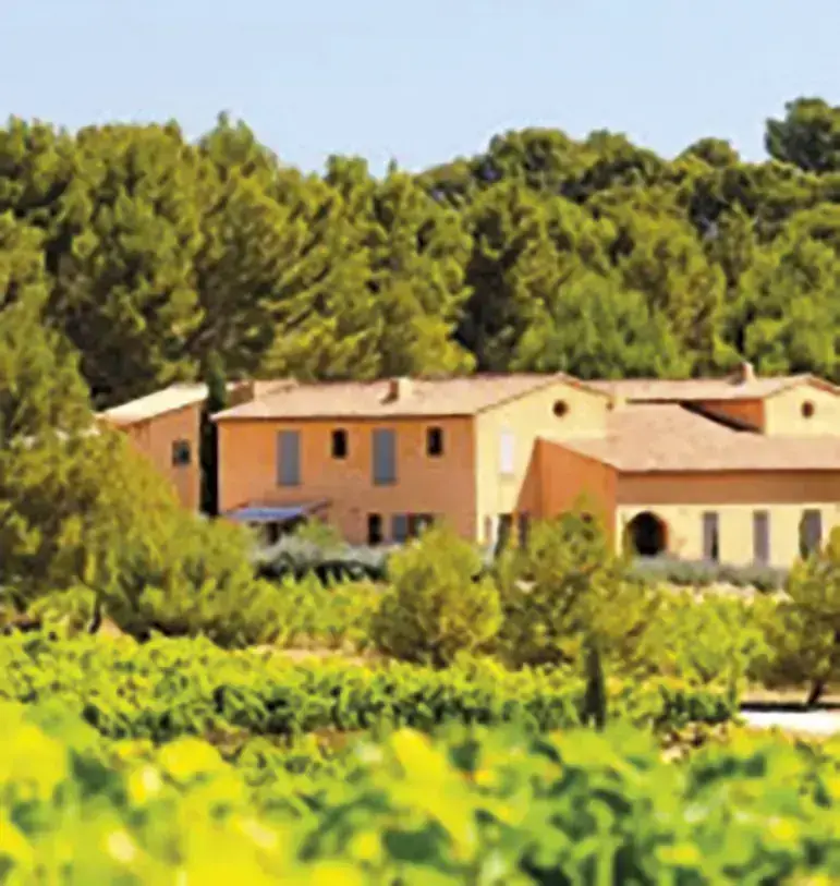 Villa Minna Vineyard, photo 1