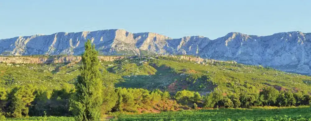 Les Vignerons du Mont Ste-Victoire, photo 1