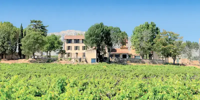 Domaine de l’Anticaille, photo 1