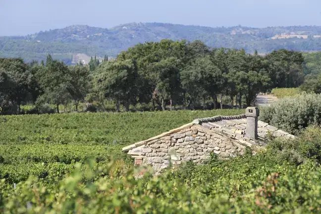 Domaine Les Béates, photo 1
