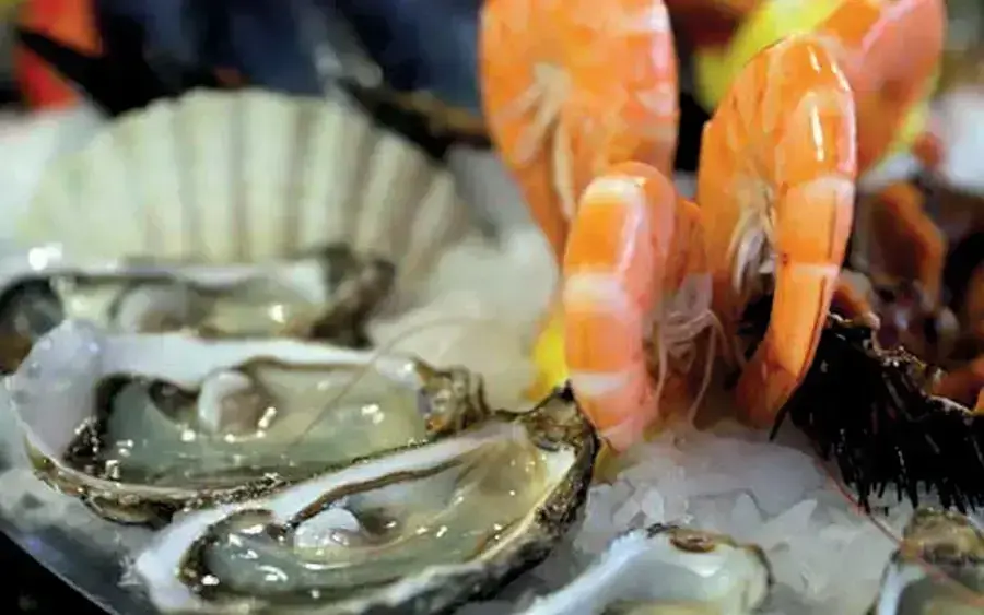 Toinou les Fruits de Mer, photo 1
