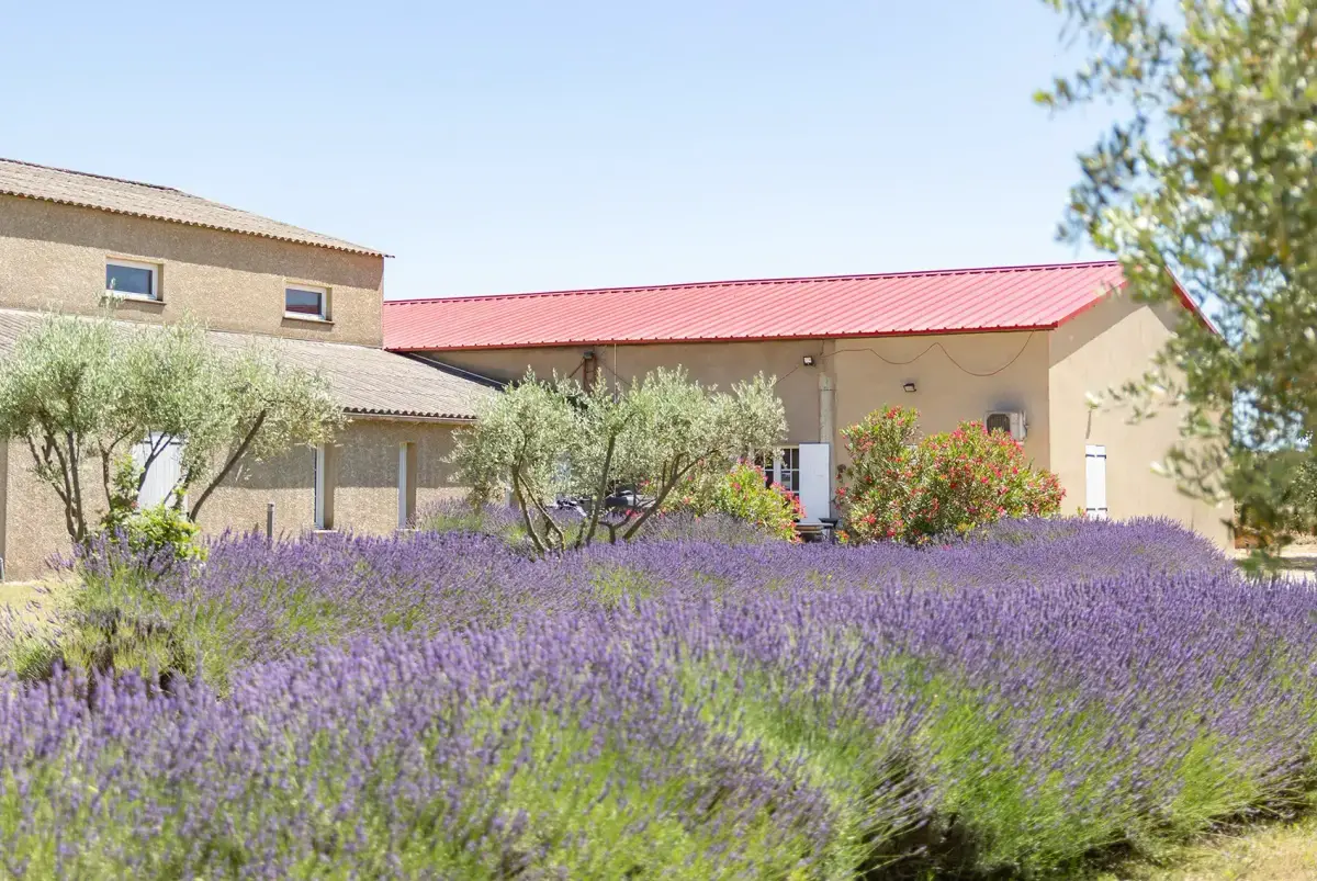 Domaine Bagrau, photo 2