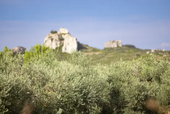 Château Virant, photo 7