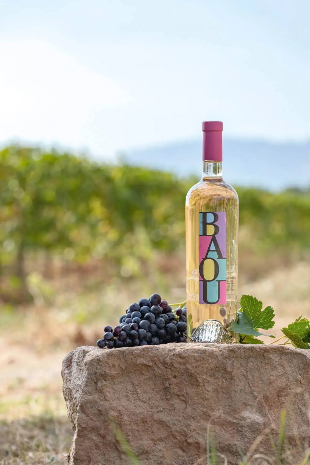 Les Vignerons du Baou, photo 2