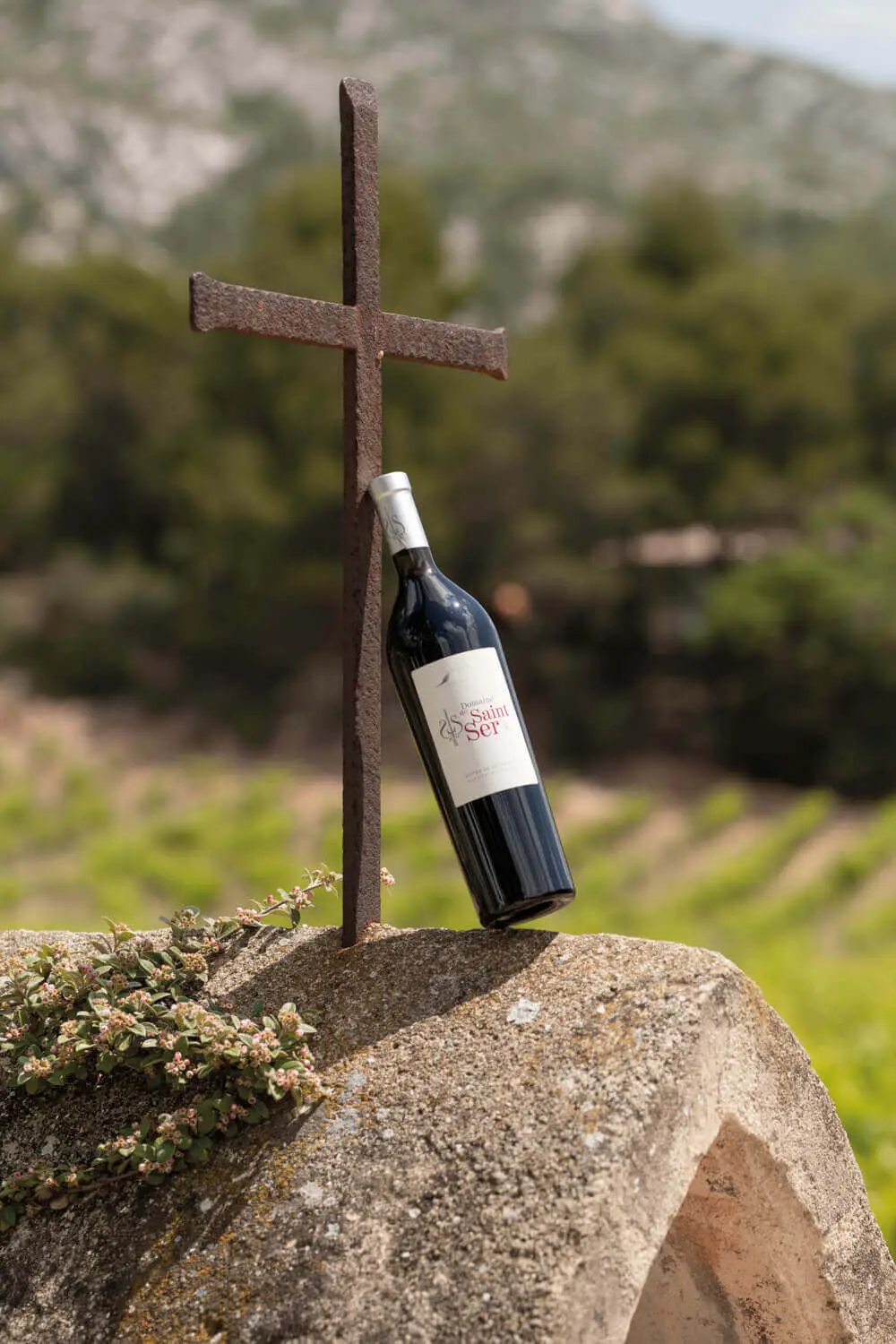 Domaine de Saint-Ser, photo 6
