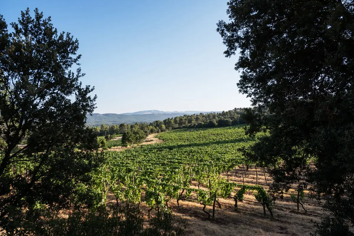 Domaine de la Réaltière, photo 1
